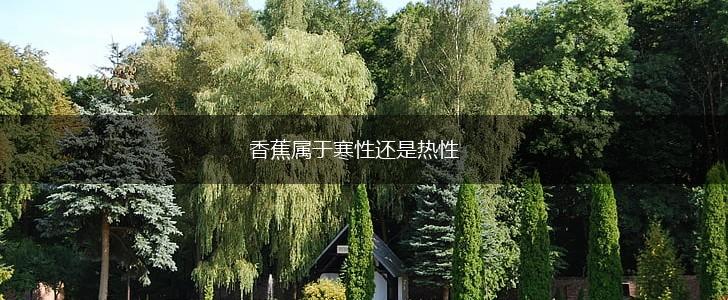 香蕉属于寒性还是热性,第1张
