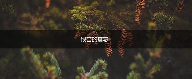 银杏的寓意,第1张