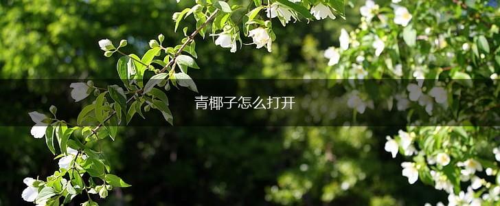 青椰子怎么打开,第1张