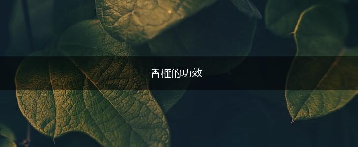 香榧的功效,第1张