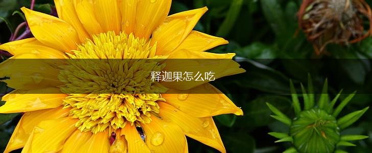 释迦果怎么吃,第1张