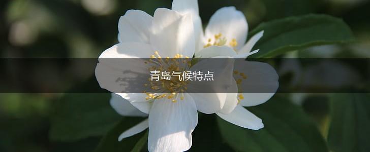青岛气候特点,第1张
