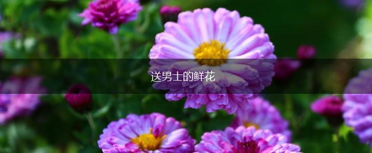 送男士的鲜花,第1张