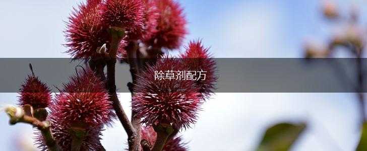 除草剂配方,第1张