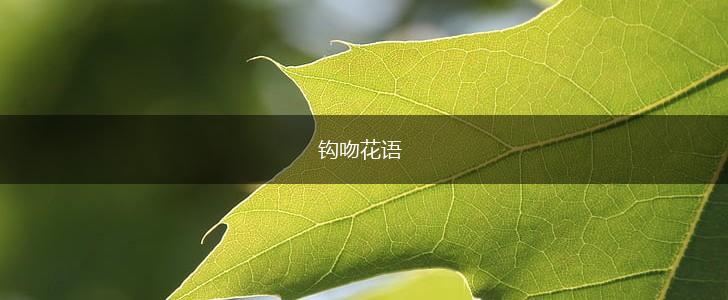钩吻花语,第1张