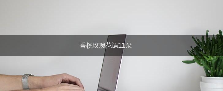 香槟玫瑰花语11朵,第1张