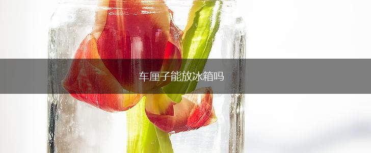 车厘子能放冰箱吗,第1张